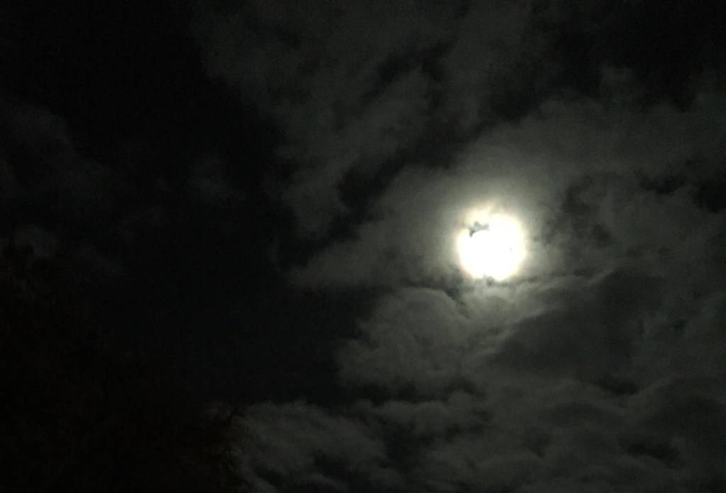 The Moon and Lunar&nbsp;Waves